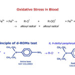 Oxidative Stress in Blood